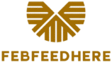 FebFeedHere – Food, Lifestyle & Travel Trends