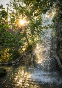 A tranquil waterfall in a sunlit forest, capturing the essence of nature's beauty.